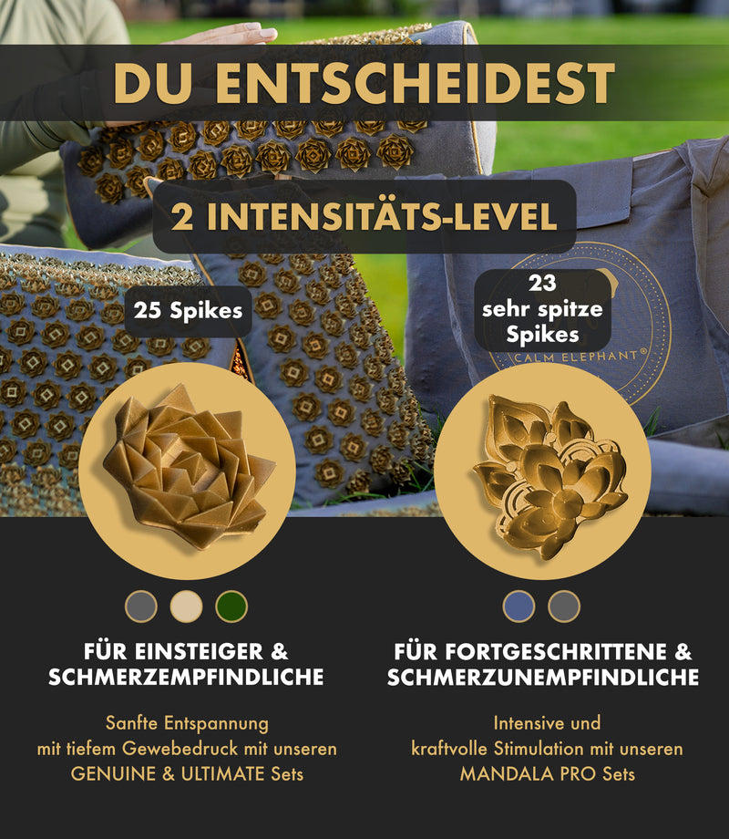 2 Intensitaets-Level: DU ENTSCHEIDEST