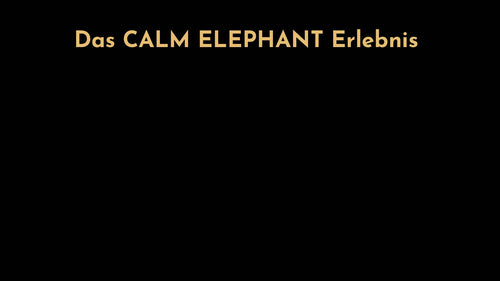 CALM ELEPHANT Headervideo Vorschaubild