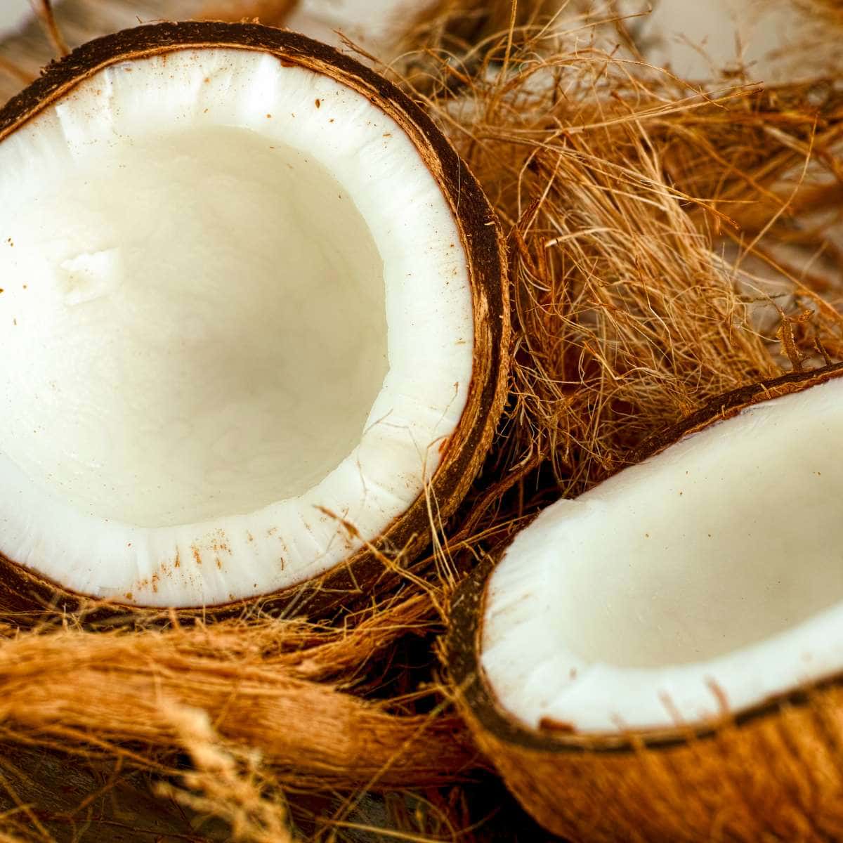 Die Akupressurmatten sind mit natürlicher und nachhaltiger Kokosfaser gefüllt